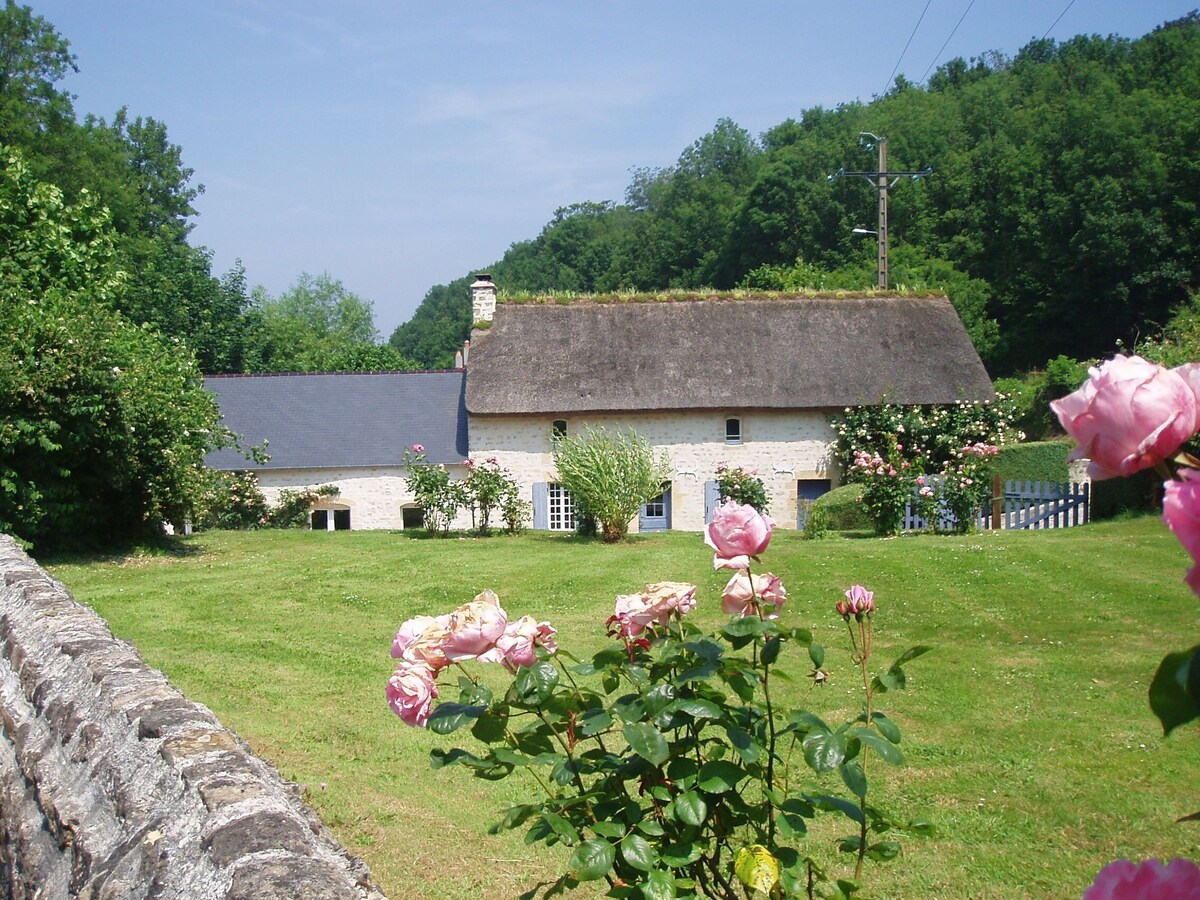 Image de profil de l’hôte