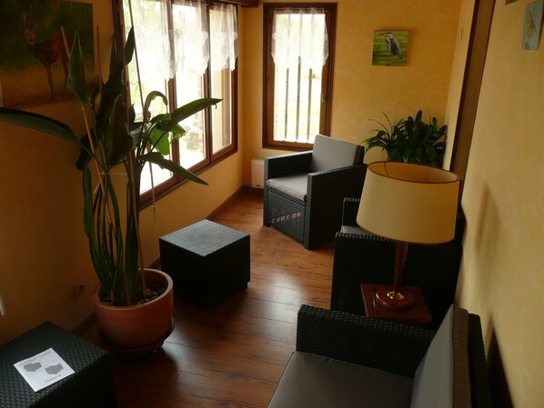 Télévision, cheminée, livres, espaces bureaux