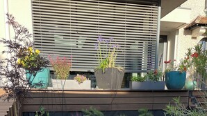 Un vialetto in giardino con pietre a secco, circondato da varie piante e un edificio moderno con ampie finestre e un tendaggio a lamelle.