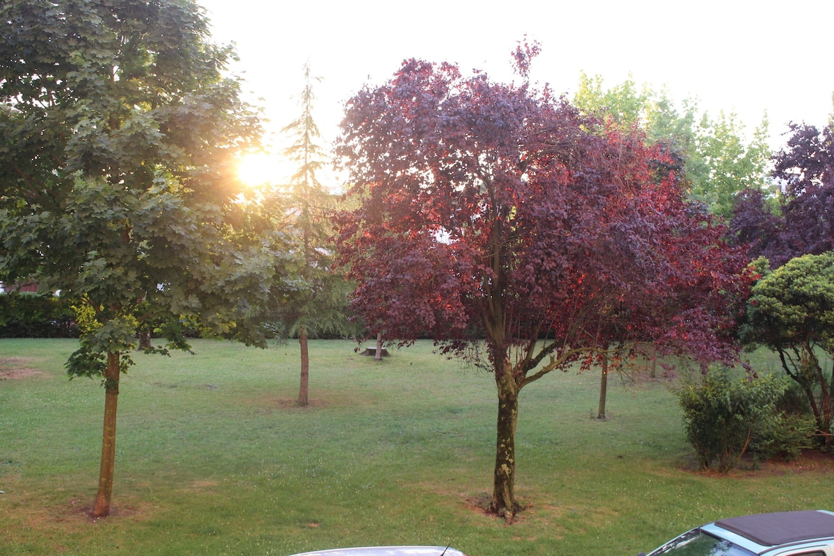 Bild für Gastgeberprofil