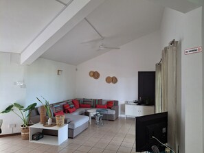 TV