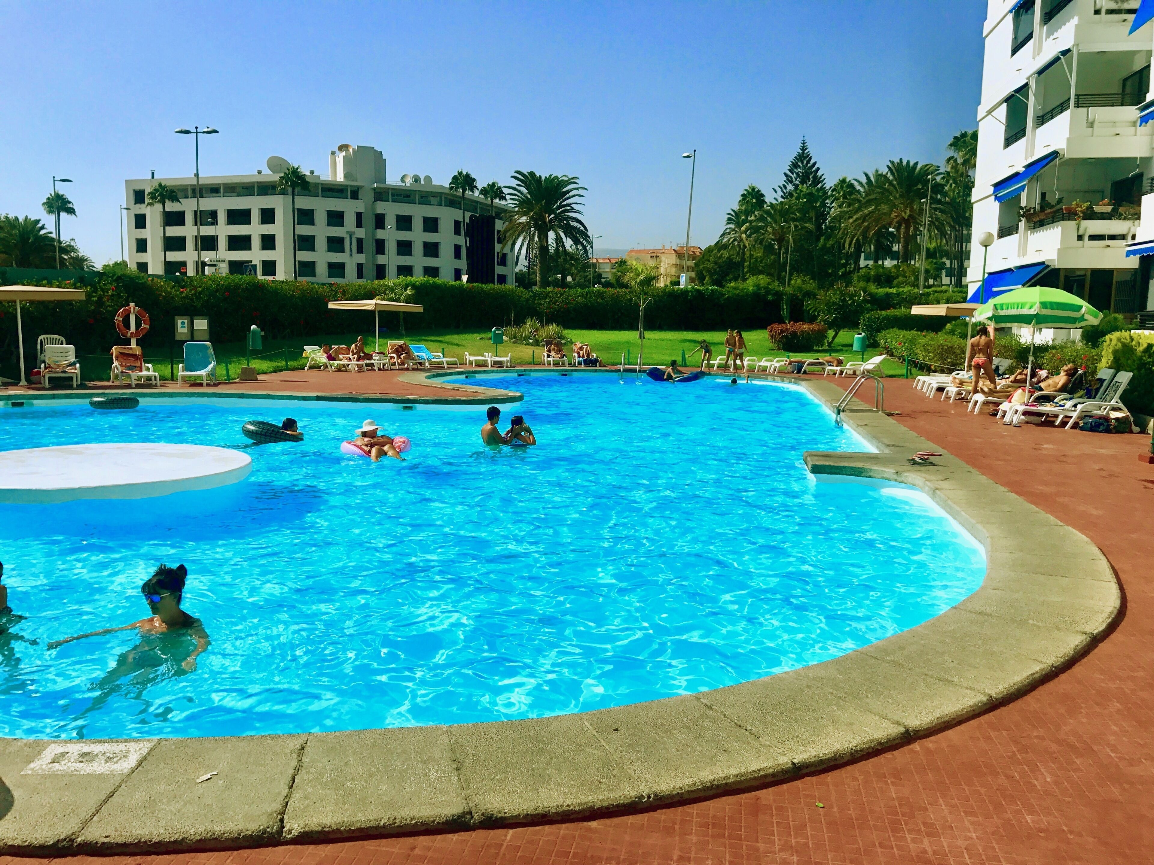 Una piscina con un jacuzzi circular, rodeada de sillones de descanso y palmeras.