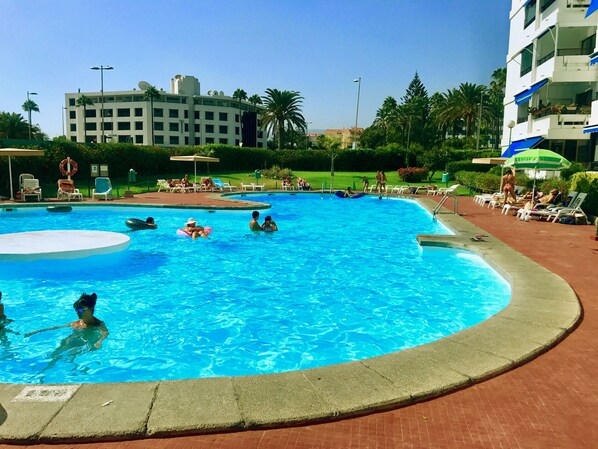 A swimming pool with a circular hot tub, surrounded by lounge chairs and palm trees.