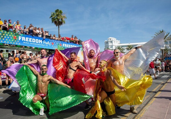 A group of people at a parade with a banner that reads "FREEDOM Party".