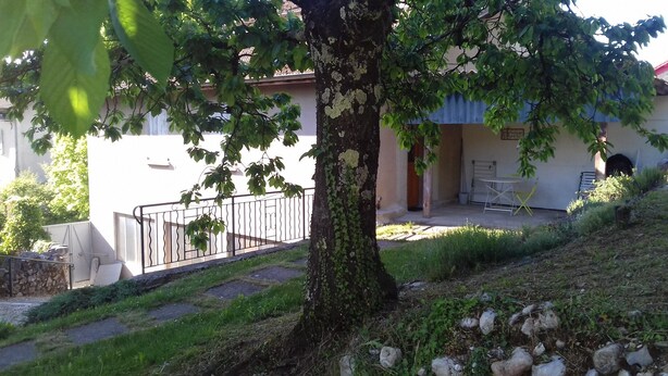 A tree-lined courtyard with a stone wall, a metal fence, and a building with a tiled roof.
