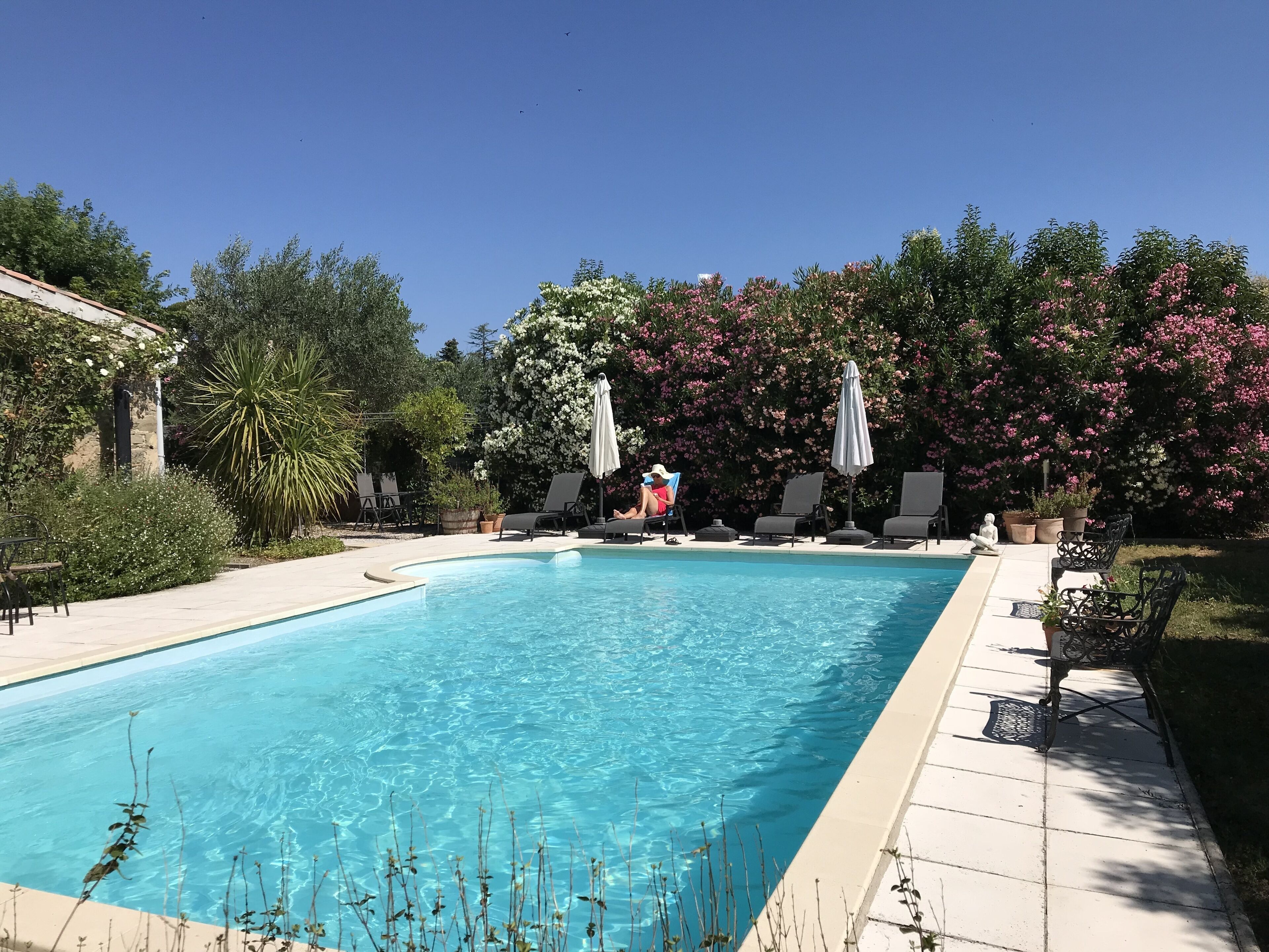 Una piscina rectangular con agua azul cristalina, rodeada de sillas de descanso y sombrillas, con abundante vegetación y plantas con flores al fondo.