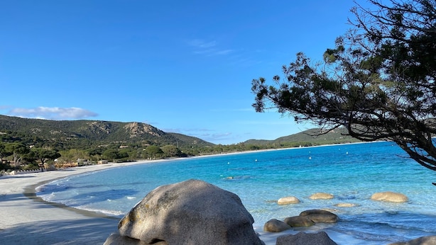 A beach with clear blue water, large rocks in the foreground, and a tree on the right. - Beautiful 5* villa with exceptional sea view and secure swimming pool (Porto-vecchio)
