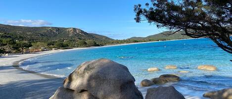 Playa en los alrededores y camastros