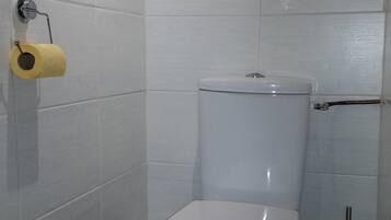 Shower, hair dryer