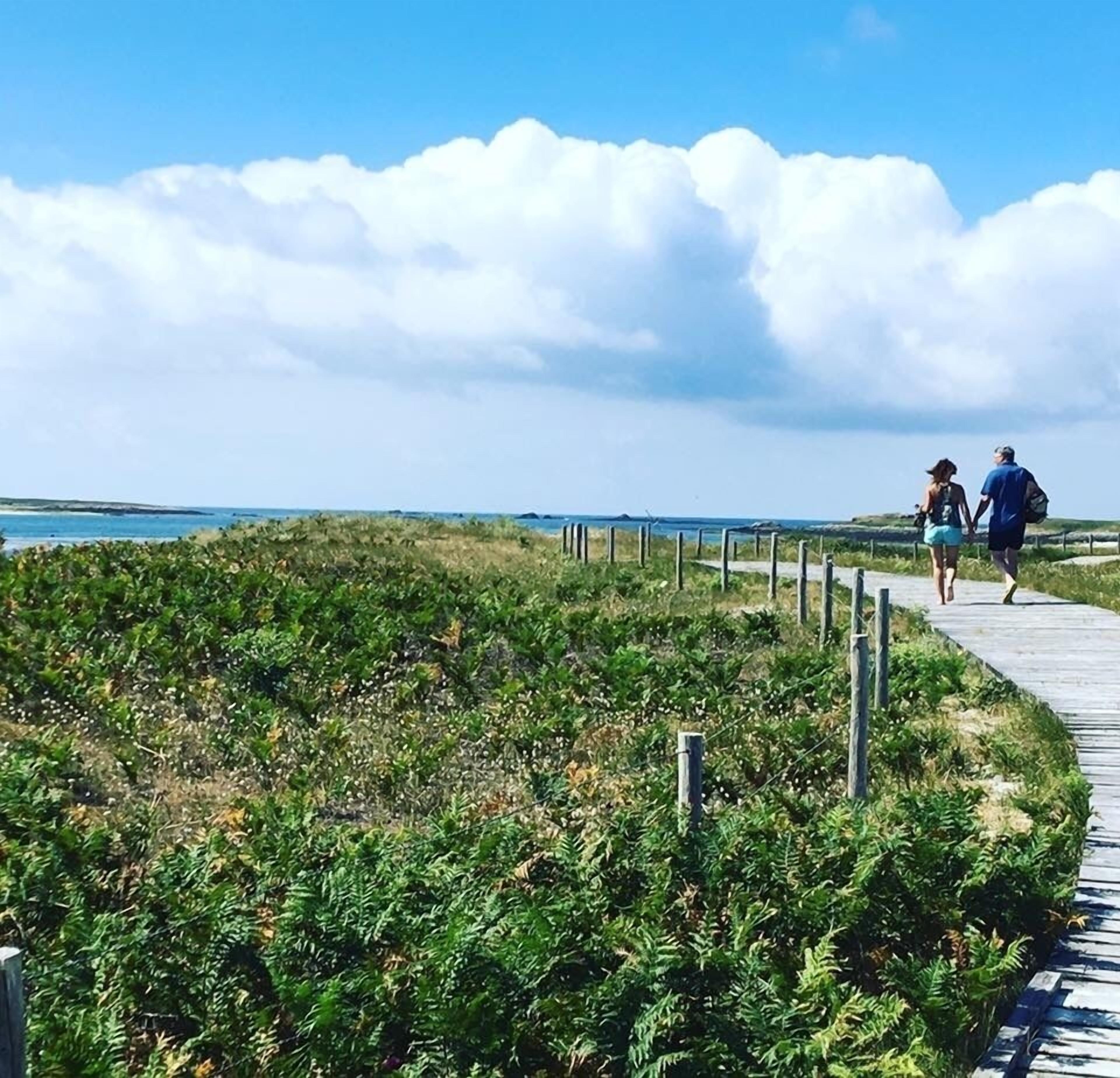A wooden boardwalk along a coastal area with dense vegetation and a clear sky.