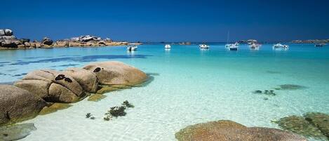 Playa en los alrededores y camastros