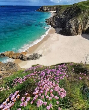 A coastal landscape with a sandy beach, rocky cliffs, and a grassy area with pink flowers.