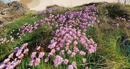 Mignon Penty with pool, quiet and close to beaches