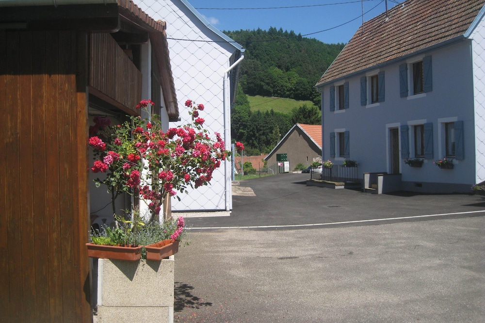 in the village of Lapoutroie 10 km from Kaysersberg