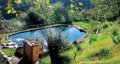 Mas en Cevennes, piscine naturelle, charme et exception. Proche alĂšs.