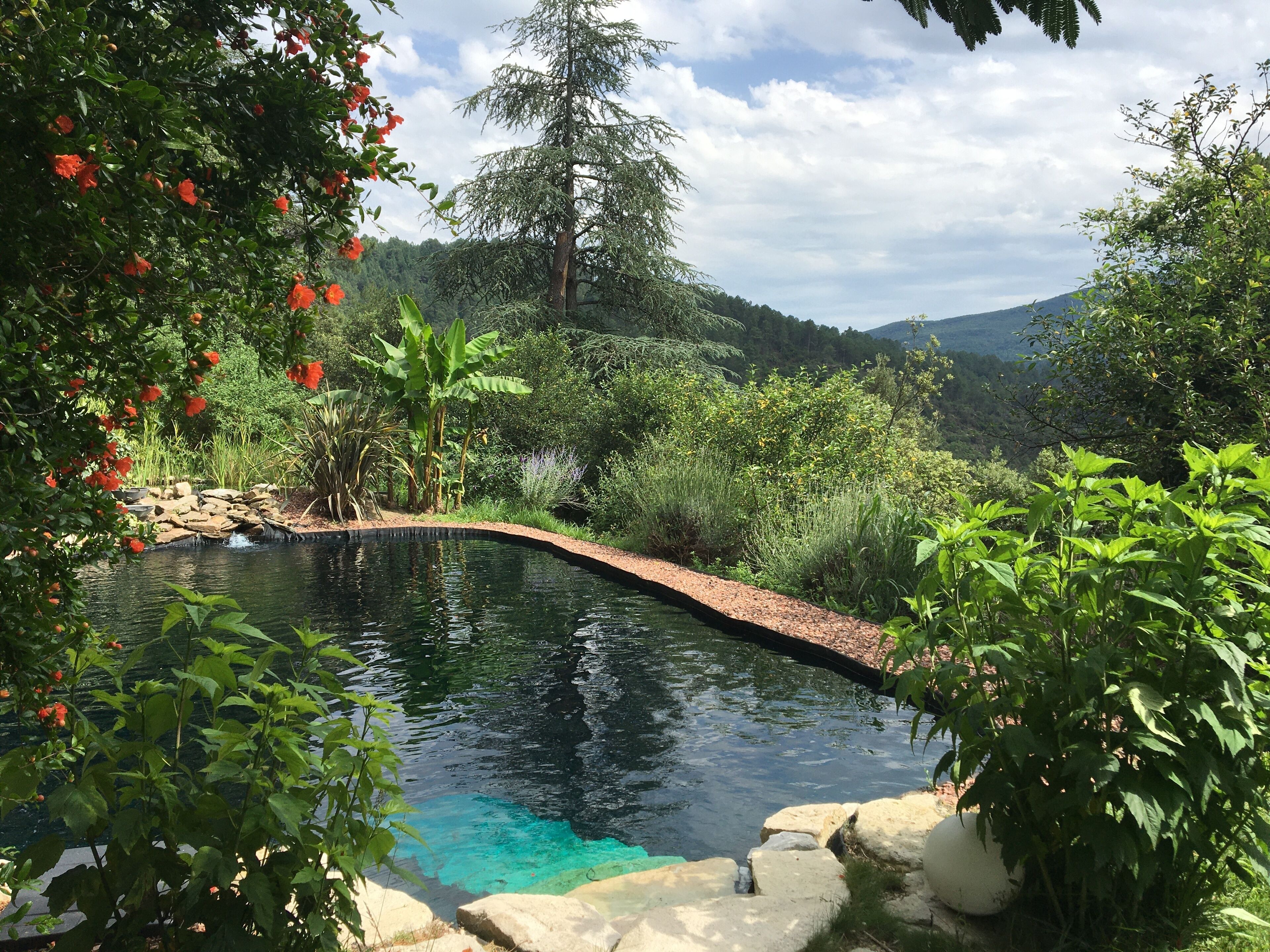 Piscina a l'aire lliure 