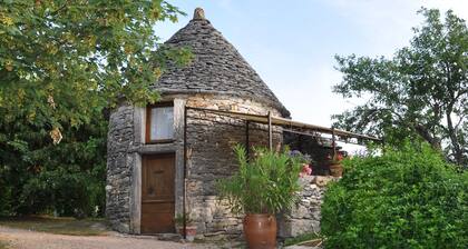 Property 2 stone towers large shady enclosed garden large swimming pool 12m X 6 m
