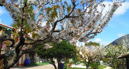 Villa PATIO - Flachères