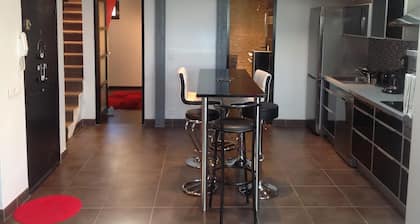 Ilmastoitu huoneisto täynnä charmia täynnä historiallista keskustaa Périgueux