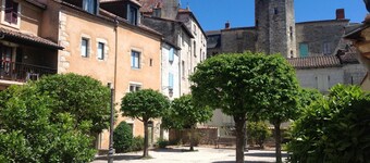 Air-conditioned apartment full of charm full historic center Périgueux