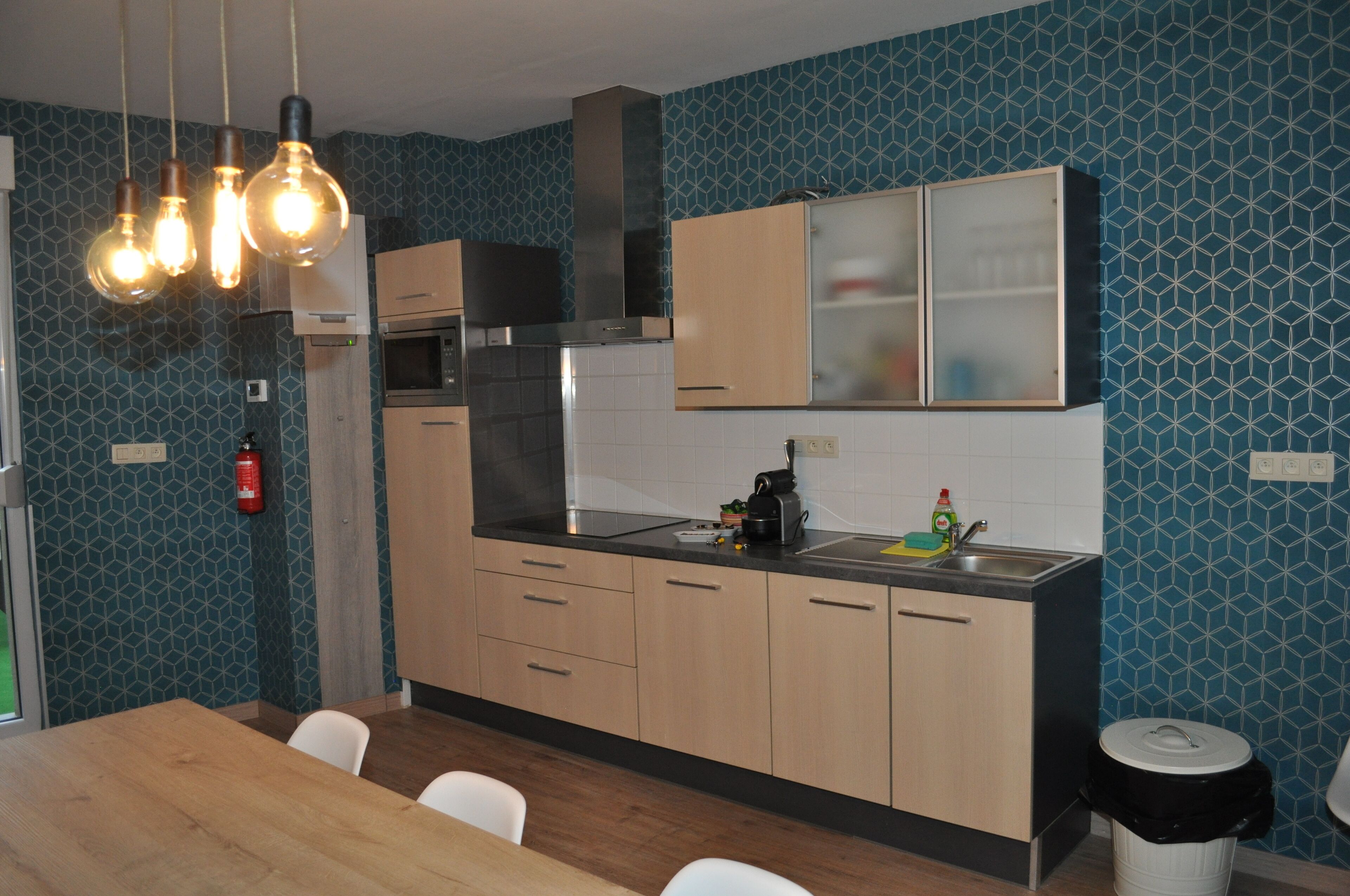 Kühlschrank, Mikrowelle, Herdplatte, Geschirrspüler