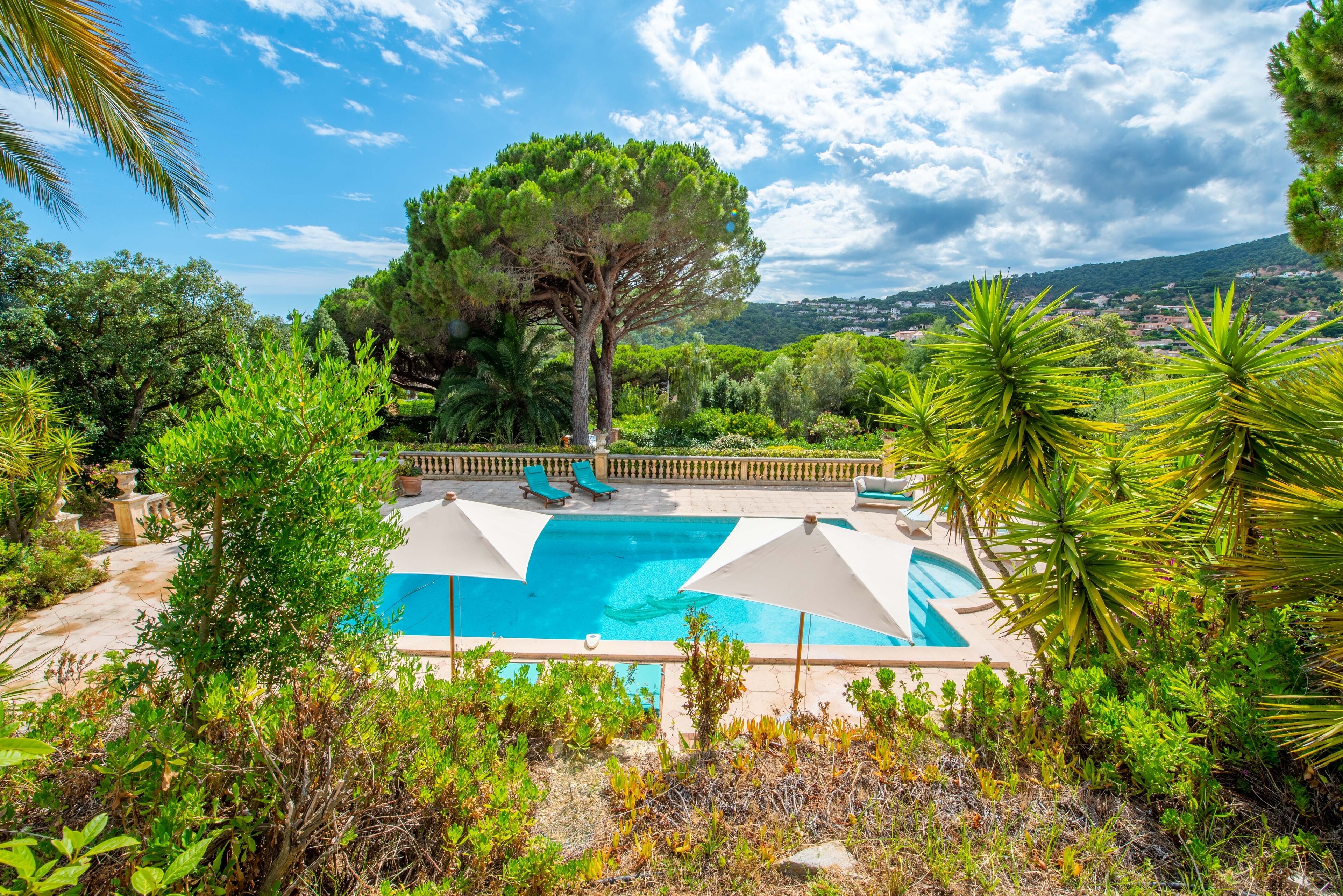 Ein Pool, umgeben von üppigem Grün und einem großen Baum, mit blauem Himmel darüber.