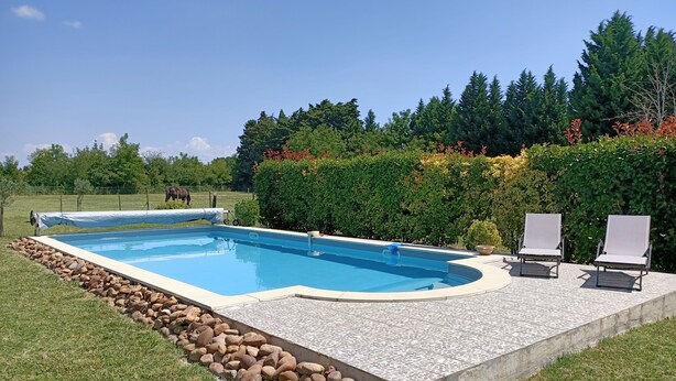 Ein rechteckiger Pool mit Fliesen umgeben, mit einer Rasenfläche und einer Steinmauer.