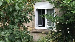 Une fenêtre à cadre blanc, entourée d’un feuillage vert et touffu, ainsi que de quelques plantes à fleurs.
