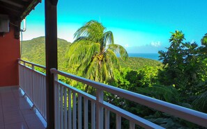 Property grounds - Rent apartment / Gite in Deshaies, quiet mountain and sea views (Deshaies)