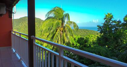 Rent apartment / Gite in Deshaies, quiet mountain and sea views