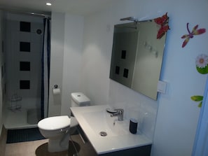Shower, hair dryer, toilet paper