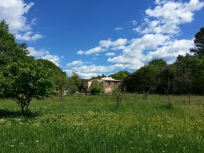 A rural landscape with a stone building surrounded by trees and a grassy field.