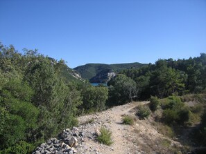 A natural landscape with a rocky path, dense greenery, and a mountainous backdrop.