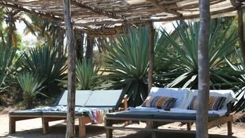 Área da propriedade