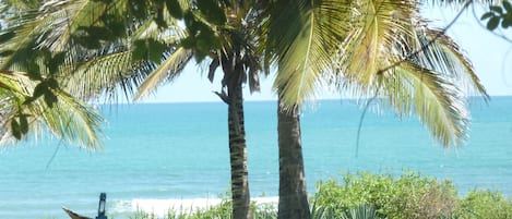 Playa en los alrededores