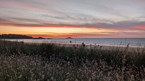 Nära stranden