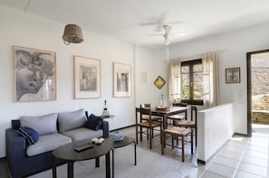 Flat-screen TV, DVD player, books, video library