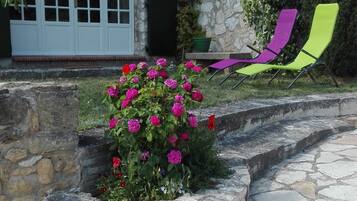 Terrein van de accommodatie