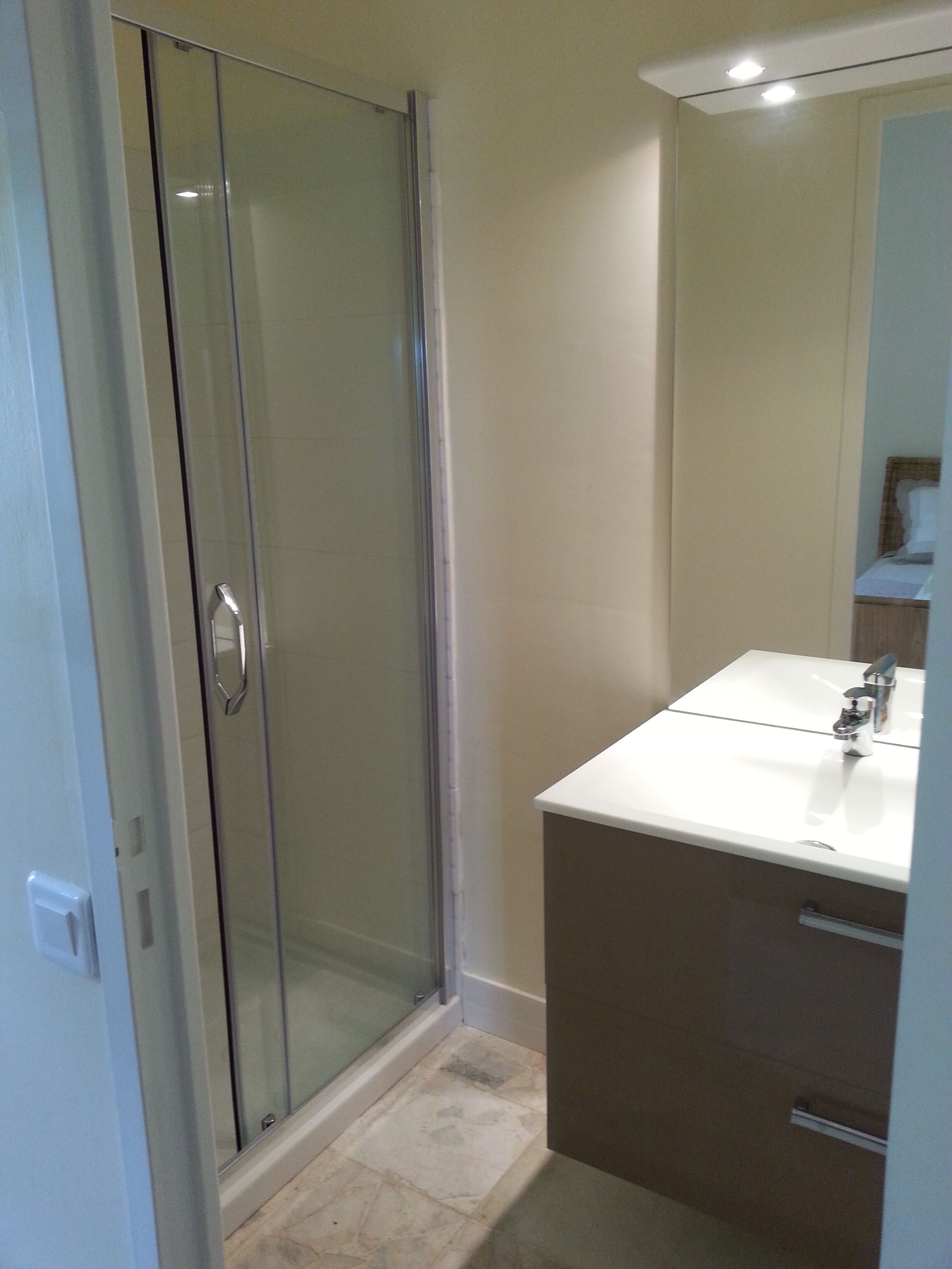 A bathroom with a glass shower enclosure, a white sink, and a mirror above it.