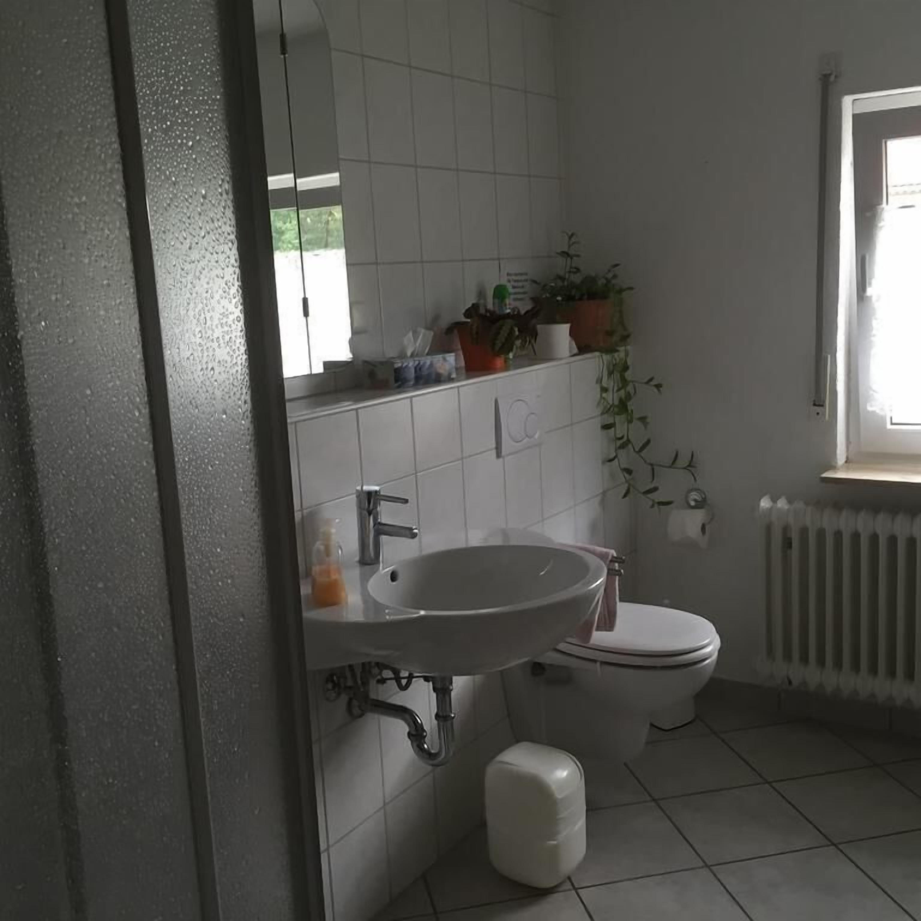 Un baño con lavamanos, inodoro y radiador blancos. Hay plantas en macetas sobre un estante encima del lavamanos.