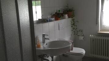 Un baño con lavamanos, inodoro y radiador blancos. Hay plantas en macetas sobre un estante encima del lavamanos.