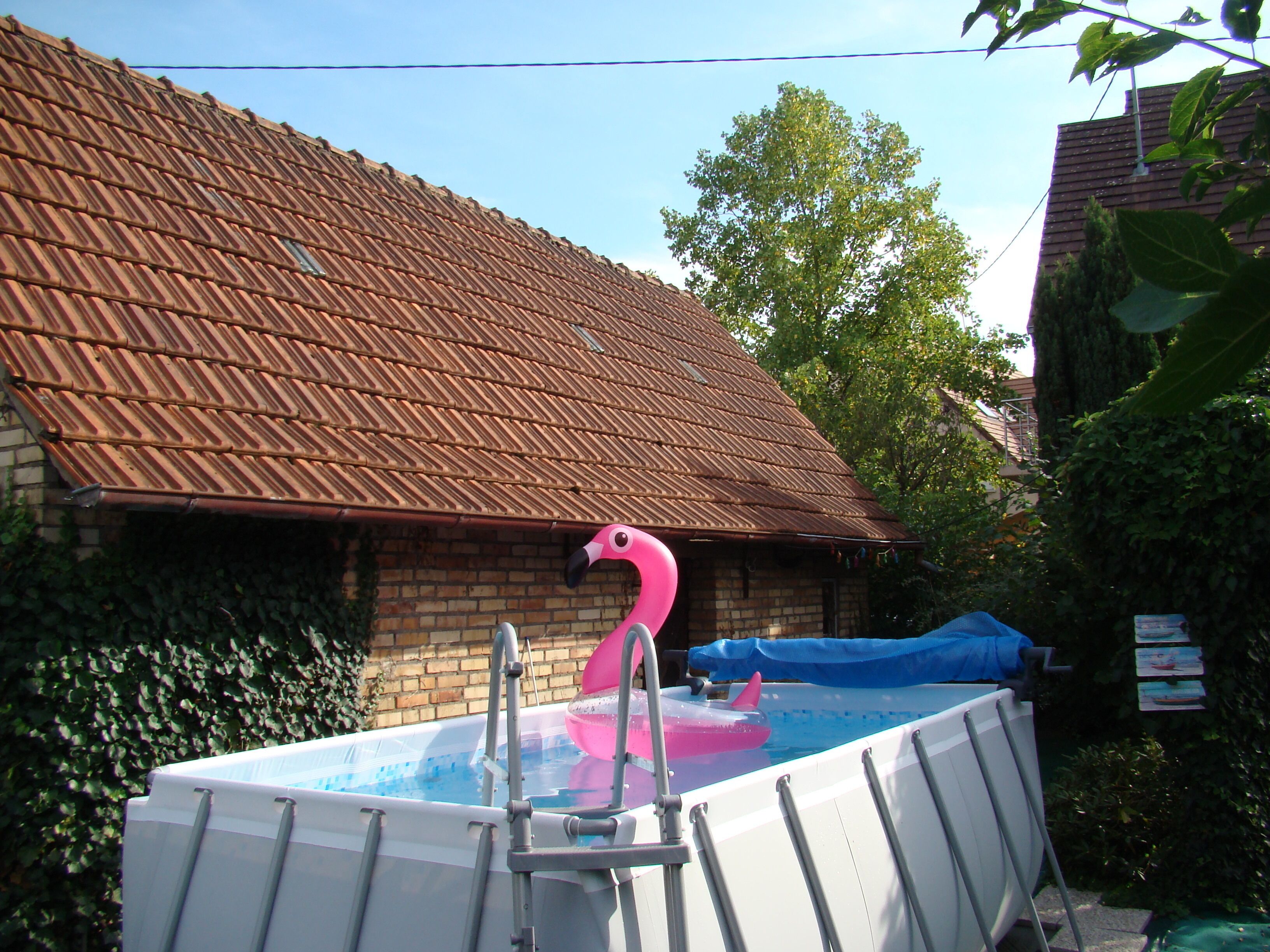 A swimming pool with a pink flamingo float, surrounded by a brick building with a tiled roof.