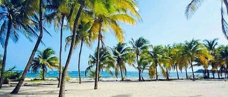 Beach nearby