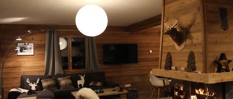 TV, fireplace, video library