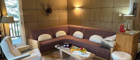 TV, fireplace, DVD player, books