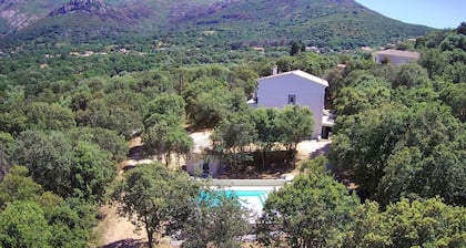 Villa Heated swimming pool Jacuzzi Boules pitch 2 independent apartments