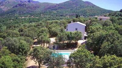 Villa Heated swimming pool Jacuzzi Boules pitch 2 independent apartments
