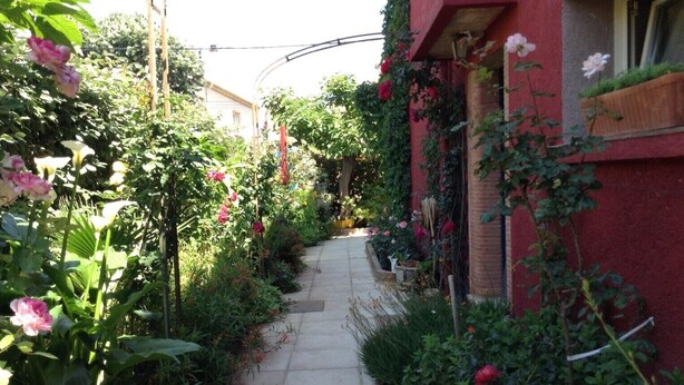 Un estrecho sendero bordeado de exuberante vegetación y plantas en flor, que conduce a un edificio de fachada roja.