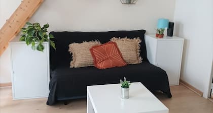 Duplex proche gare de Mans