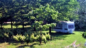 Una caravana blanca estacionada en un césped, con un viñedo al fondo.